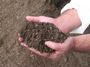 Qualité des composts : des différences pas si tranchées